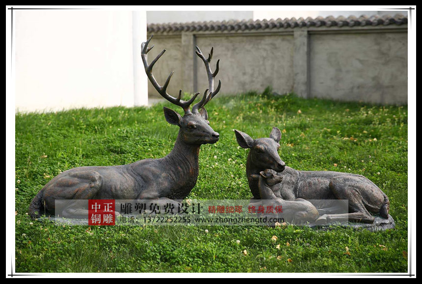 timg_副本.jpg timg_副本.jpg