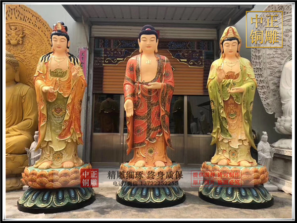 IMG_3581.jpg IMG_3581.jpg